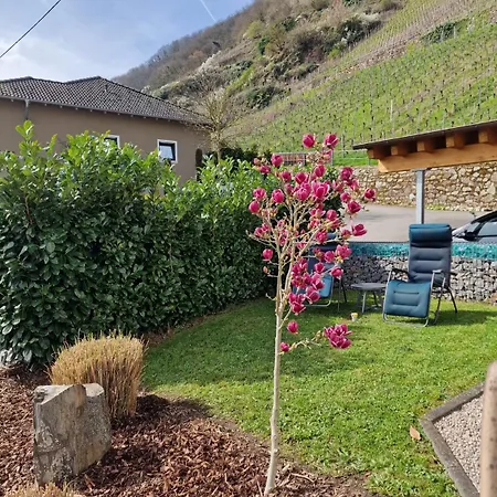 Villa Ferres Piesport Esterno foto